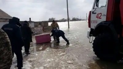 Zakon.kz, фото - Новости Zakon.kz от 31.03.2015 01:43