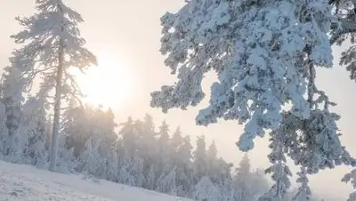 pixabay.com, фото - Новости Zakon.kz от 22.01.2021 11:10