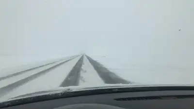 i-a.d-cd.net, фото - Новости Zakon.kz от 06.02.2020 13:44