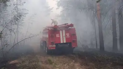 пожар в Абайской области, фото - Новости Zakon.kz от 10.06.2023 10:33