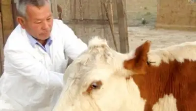 Zakon.kz, фото - Новости Zakon.kz от 29.07.2016 16:17