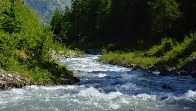 pixabay.com, фото - Новости Zakon.kz от 22.09.2021 13:56