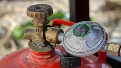 pixabay.com, фото - Новости Zakon.kz от 10.09.2021 13:01