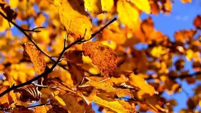 Zakon.kz, фото - Новости Zakon.kz от 14.11.2017 06:21