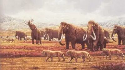 Zakon.kz, фото - Новости Zakon.kz от 27.10.2015 17:17