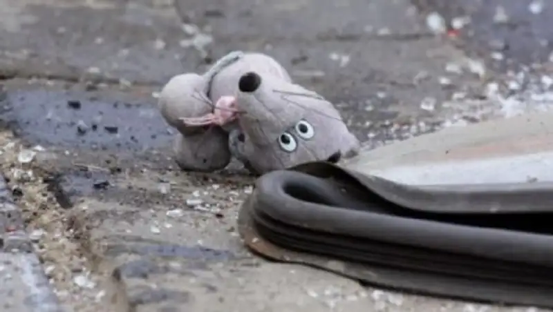 В ЗКО скончалась сбитая машиной 2-летняя девочка 