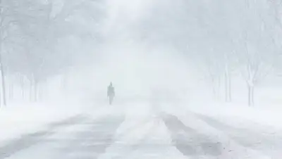 pxfuel.com, фото - Новости Zakon.kz от 22.10.2021 16:11