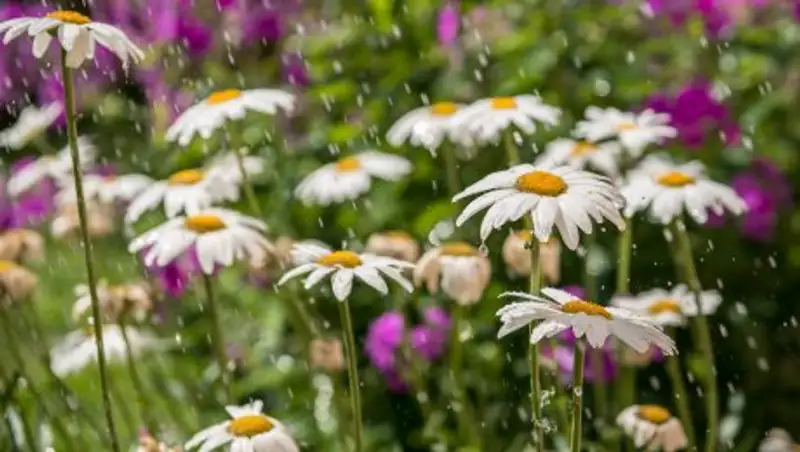 В воскресенье в Казахстане ожидаются осадки