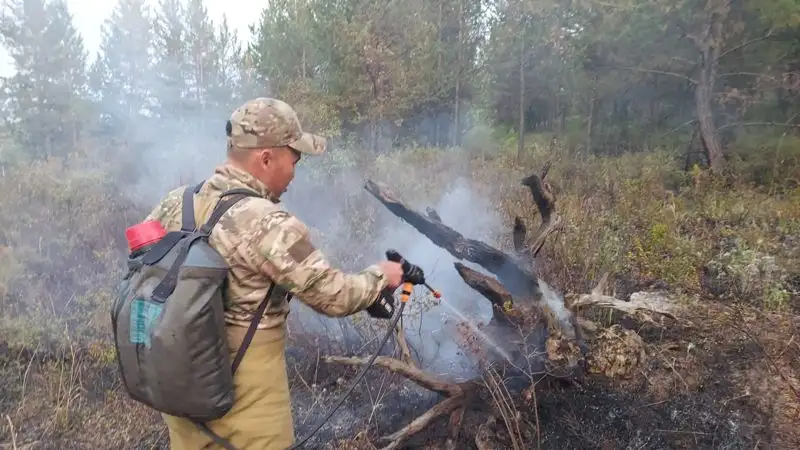 В ВКО произошло два пожара – в лесничестве и на Гусином острове