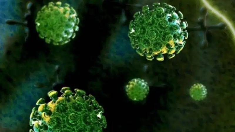 В Приморье с подозрением на коронавирус MERS госпитализирована женщина