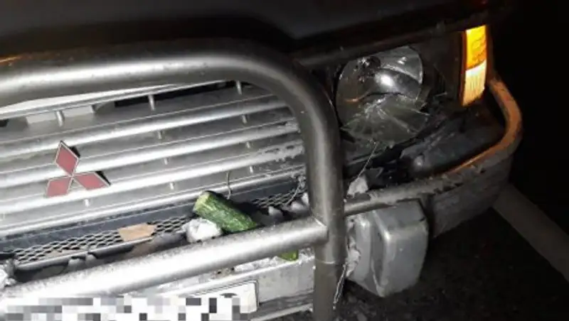 В Алматы сбили двух девушек