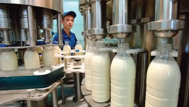 В Сайрамском районе ЮКО произведено более 700 тонн молочной продукции