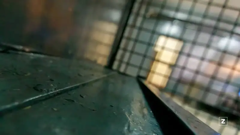 Задержаны два фигуранта по делу о финпирамиде, которую рекламировали звезды