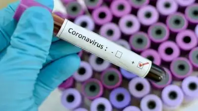 zakon.kz., фото - Новости Zakon.kz от 25.10.2020 08:15