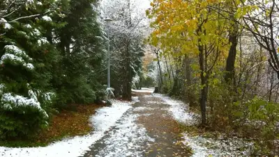 Zakon.kz, фото - Новости Zakon.kz от 04.11.2015 12:00