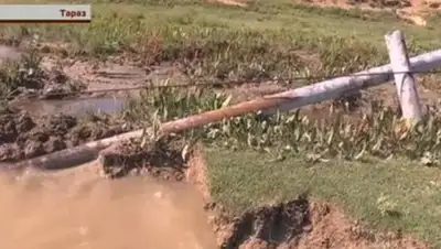 Zakon.kz, фото - Новости Zakon.kz от 21.06.2016 06:08