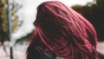 Zakon.kz, фото - Новости Zakon.kz от 14.10.2017 09:41