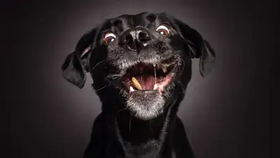 Zakon.kz, фото - Новости Zakon.kz от 02.05.2016 13:47