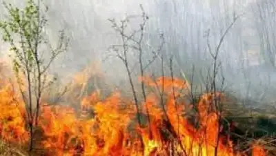 Zakon.kz, фото - Новости Zakon.kz от 18.08.2015 16:52