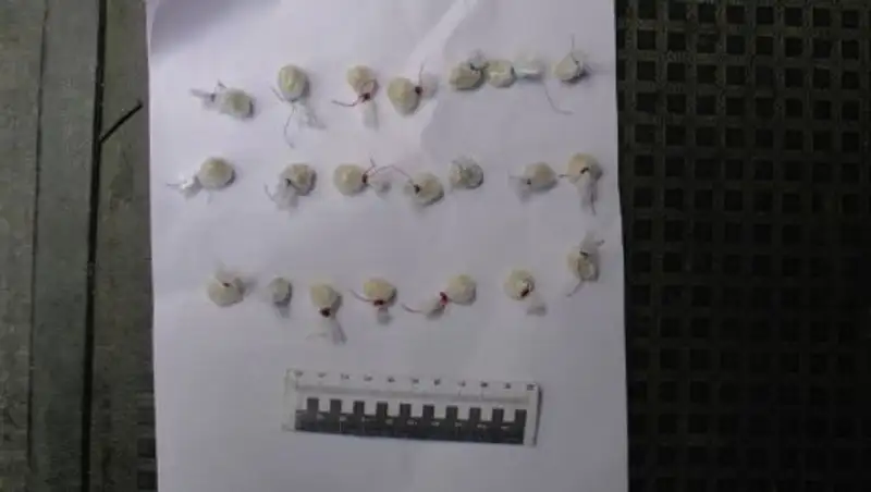 В Рудном полицейские застали мужчину за расфасовкой героина в своей машине