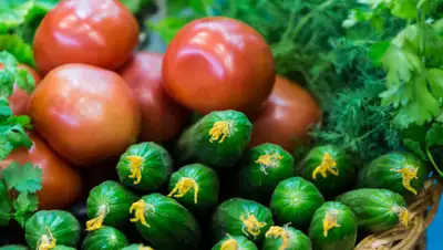 zakon.kz, фото - Новости Zakon.kz от 30.01.2020 11:01