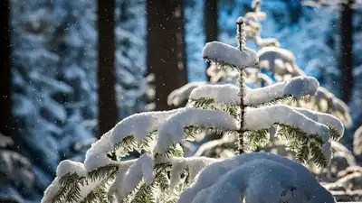 погода, штормовое предупреждение