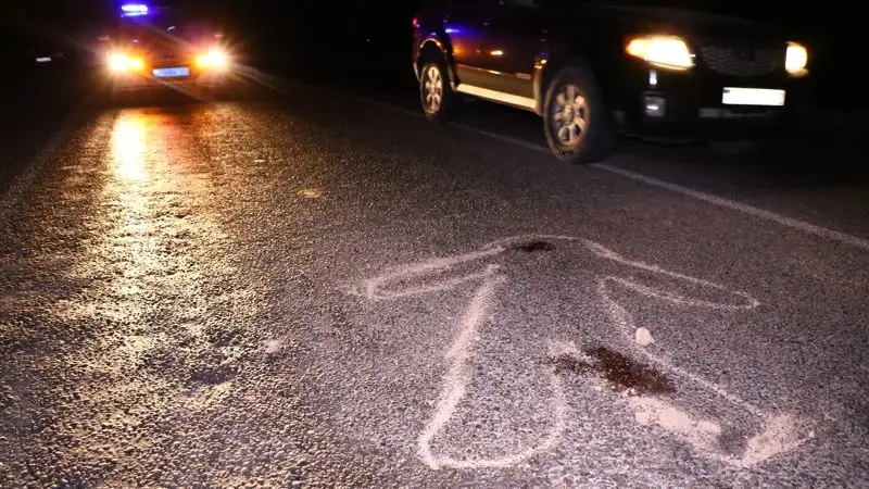 Депутат: Каждый день в Казахстане погибают пять пассажиров незаконных автоперевозчиков