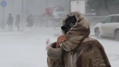 Zakon.kz, фото - Новости Zakon.kz от 03.02.2016 22:28