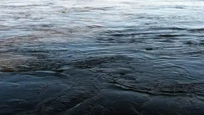 tvtomsk.ru, фото - Новости Zakon.kz от 31.07.2018 08:55