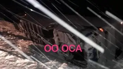 yk-news.kz, фото - Новости Zakon.kz от 02.02.2019 21:53