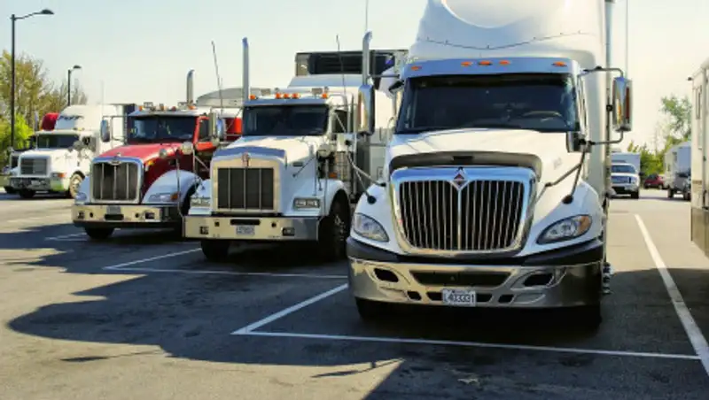 39 трупов в грузовике: обвинение предъявили водителю