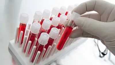 Сочи Экспресс, фото - Новости Zakon.kz от 29.05.2018 23:01