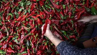 Zakon.kz, фото - Новости Zakon.kz от 11.09.2015 00:56