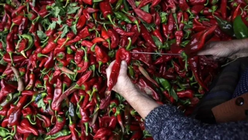 Ученые: жгучий компонент красного перца может стать основой лекарств от рака