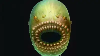 Zakon.kz, фото - Новости Zakon.kz от 01.02.2017 14:19