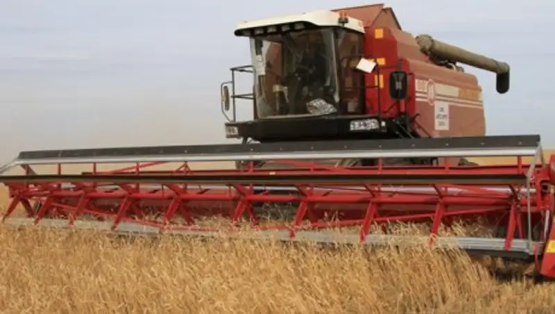 13 крестьянских хозяйств Иртышского района создали кооператив «МТС «Ертіс-2017»