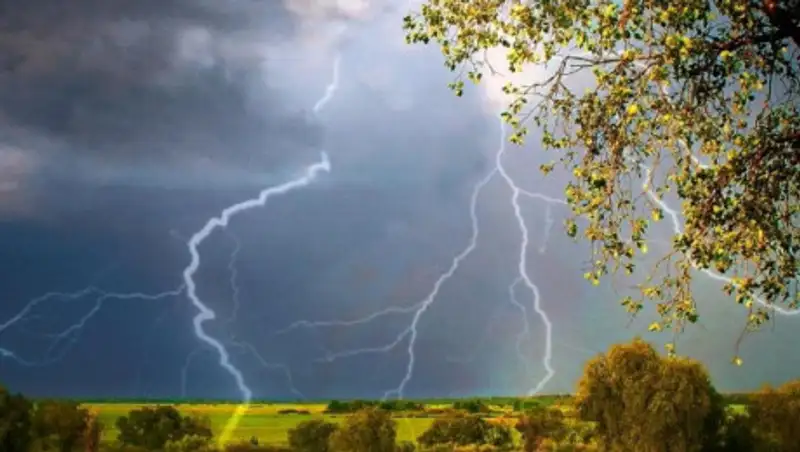 Дожди, грозы, шквал и град ожидаются в нескольких областях Казахстана