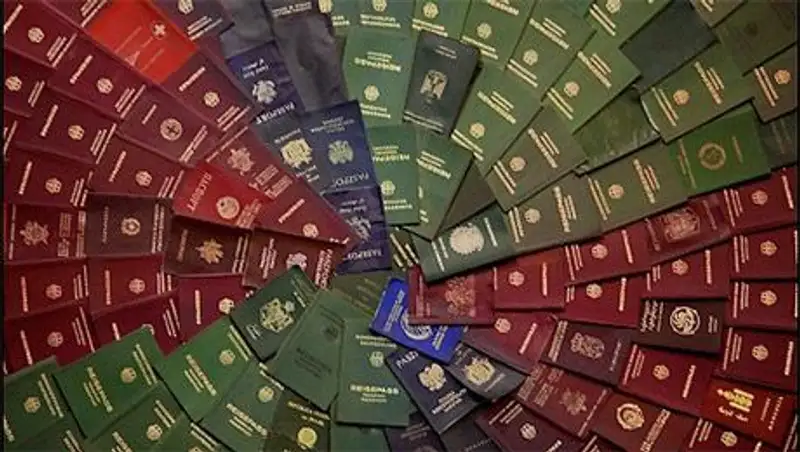 В Госдуму РФ внесен законопроект о двойном гражданстве