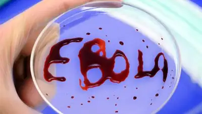 Zakon.kz, фото - Новости Zakon.kz от 30.09.2014 15:37