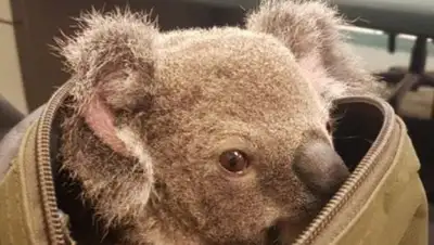 Zakon.kz, фото - Новости Zakon.kz от 08.11.2016 00:28