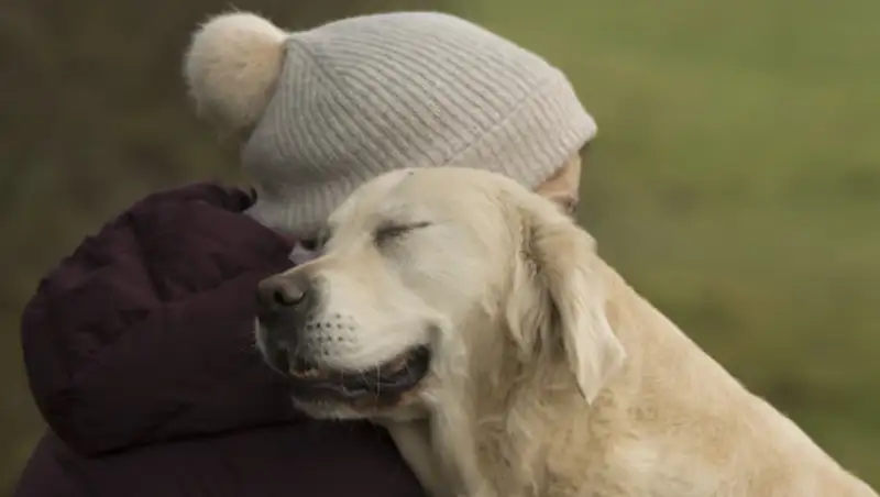 Победители фотоконкурса Dog Photographer