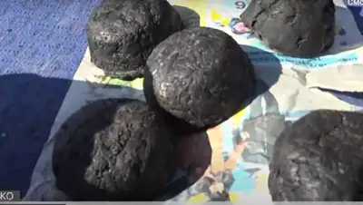 лечебное мыло кочевников, ВКО, фото - Новости Zakon.kz от 27.11.2022 07:26