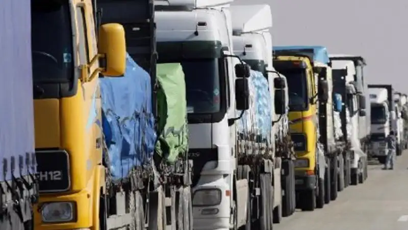 Почти 400 тонн зараженной продукции пытались ввезти в РК из Кыргызстана