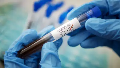 ТАСС, фото - Новости Zakon.kz от 08.06.2020 18:12