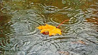 Zakon.kz, фото - Новости Zakon.kz от 19.09.2014 15:00