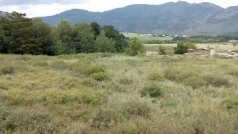 Баянауылда тау а&#1187;&#1171;арынан алты адам &#1179;&#1201;т&#1179;арылды