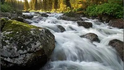 projecteducation.ru, фото - Новости Zakon.kz от 01.05.2021 15:49