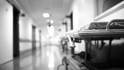 zakon.kz., фото - Новости Zakon.kz от 28.06.2020 12:26