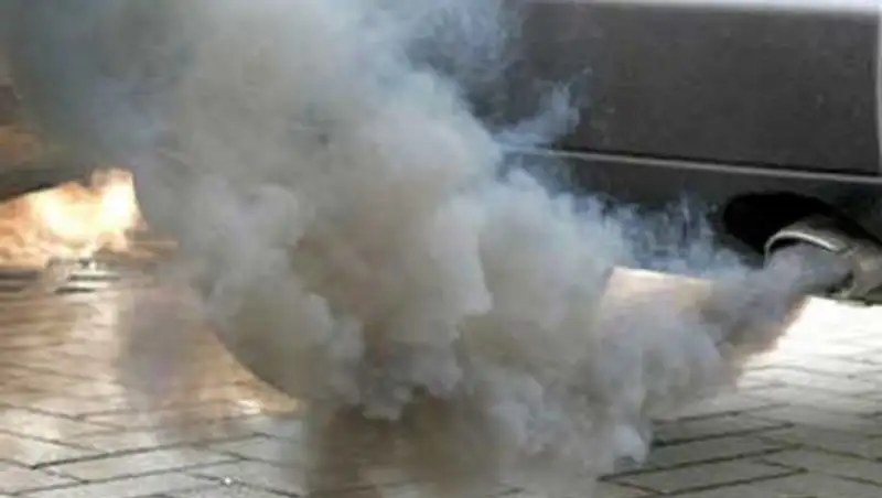 За экологические нарушения более чем на 6 млн тг за неделю оштрафованы жители столицы