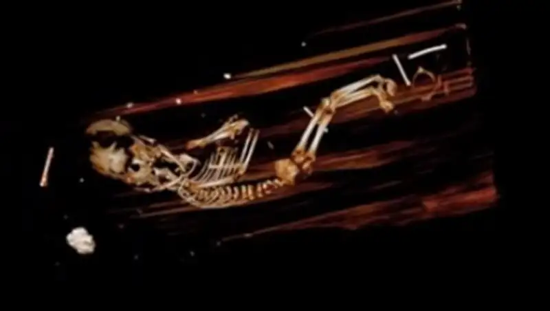 В гробу шведского епископа нашли пятимесячный эмбрион